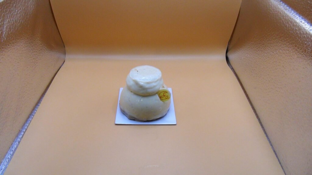 Gâteau individuel Baba vanille