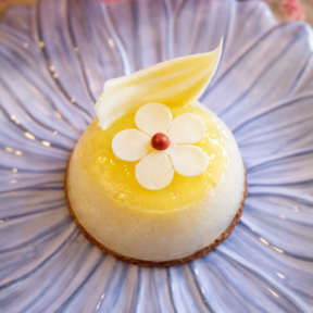 Gâteau individuel Yuzuna