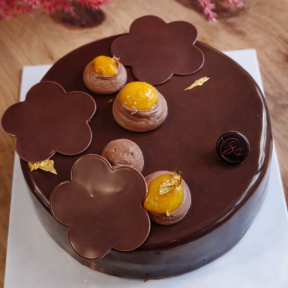 Visuel du gâteau Entremet chocolat mandarine